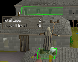 Features Runelite